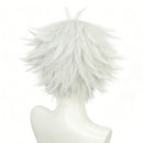Witch Hat Atelier Qifrey Grey Wizard Outfit Men Halloween Carnival Party Cosplay Costume