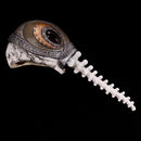 The Sandman Dream Cosplay Costume Mask Outfits Halloween Carnival Suit