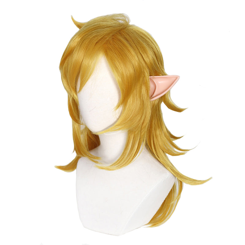 The Legend of Zelda: Tears of the Kingdom TOTK Link Cosplay Costume Halloween Carnival Suit