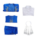 Cosplay Costume Prince Adam Court Noble Attire Uniform Suit Set Budget Friendly Renaissance Blue Men Halloween Carnival Party Outfits