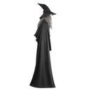 The Lord Of The Rings Gandalf Gray Deluxe Outfit Carnival Halloween Cosplay Costume