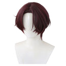 Wind Breaker 2024 Anime Hayato Suou Cosplay Wig Heat Resistant Synthetic Hair Carnival Halloween Party Props