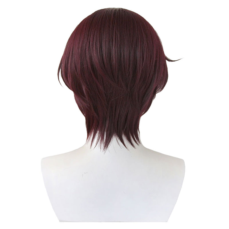 Wind Breaker 2024 Anime Hayato Suou Cosplay Wig Heat Resistant Synthetic Hair Carnival Halloween Party Props
