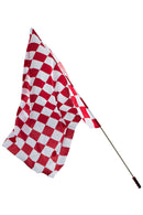 Fate/EXTELLA EXTRA Saber Nero Claudius Cosplay Costume Racing Outfit