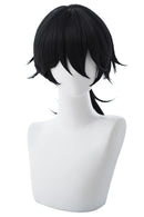 Fate/Grand Order Rider Ryouma Sakamoto Cosplay Wig