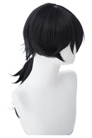 Fate/Grand Order Rider Ryouma Sakamoto Cosplay Wig