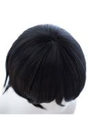 Fate/Grand Order Rider Ryouma Sakamoto Cosplay Wig