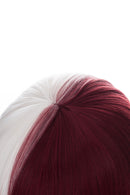 S2 Shoto Shouto Todoroki Cosplay Wig