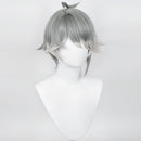 Genshin Impact AlHaitham  Cosplay Wig Heat Resistant Synthetic Hair Carnival Halloween Party Props