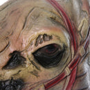 Halloween Horror Skull Horse Head Latex Helmet Cosplay Accessories
