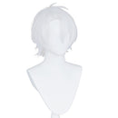The Case Study of Vanitas-Noé Archiviste Heat Resistant Synthetic Hair Carnival Halloween Party Props Cosplay Wig