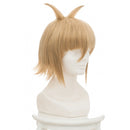 Ginshi Shirazu Cosplay wig