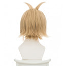Ginshi Shirazu Cosplay wig