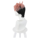 Yuuji Itadori Heat Resistant Synthetic Hair Carnival Halloween Party Props Cosplay Wig