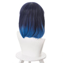 Hashibira Inosuke Cosplay Wigs