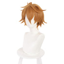 Genshin Impact Tartaglia Heat Resistant Synthetic Hair Carnival Halloween Party Props Cosplay Wig