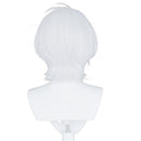 The Case Study of Vanitas-Noé Archiviste Heat Resistant Synthetic Hair Carnival Halloween Party Props Cosplay Wig