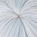 Anime Frieren Beyond Journey's End Himmel Cosplay Wig Heat Resistant Synthetic Hair Party Carnival Halloween Props