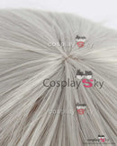Cossky Wigs Emilia Long Silver Grey wig Cosplay Wigs