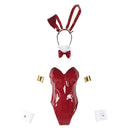 02 Zero Two Bunny Girl Cosplay Costume