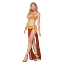 Princess Leia Brown Dress Party Carnival Halloween Cosplay Costume